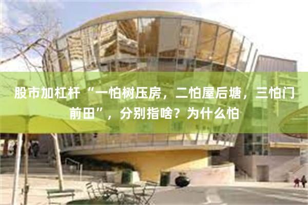 股市加杠杆 “一怕树压房，二怕屋后塘，三怕门前田”，分别指啥？为什么怕