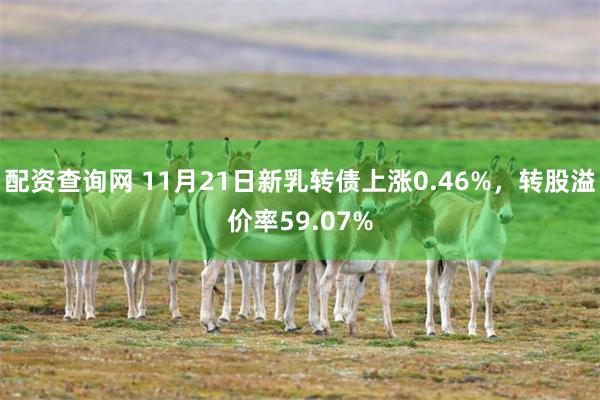 配资查询网 11月21日新乳转债上涨0.46%，转股溢价率59.07%