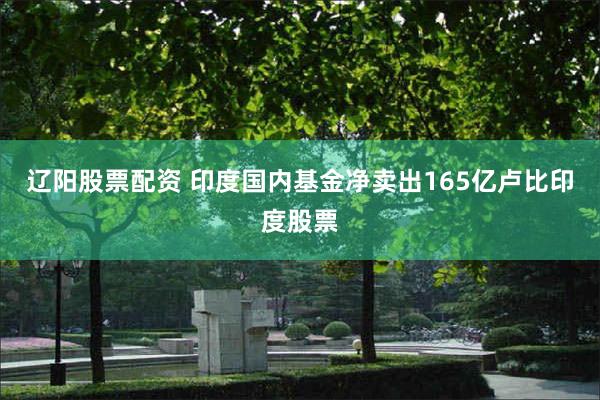 辽阳股票配资 印度国内基金净卖出165亿卢比印度股票