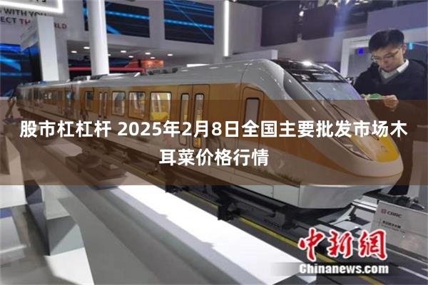 股市杠杠杆 2025年2月8日全国主要批发市场木耳菜价格行情